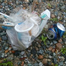 アオリイカ6杯! 釣り場ゴミ多し!!