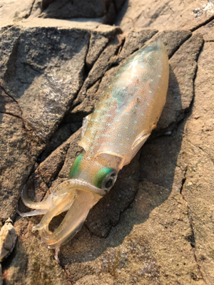 新子と遊んでもらおう！