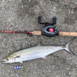 寝坊で遅刻と届かぬナブラ