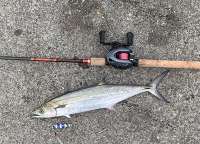 寝坊で遅刻と届かぬナブラ