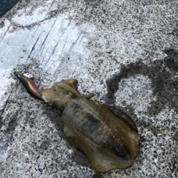 爆風釣行２日目