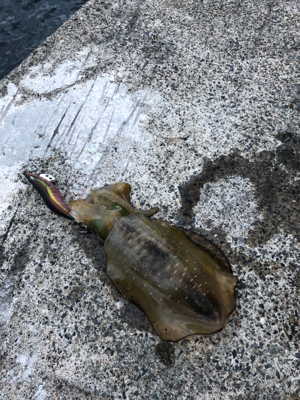 爆風釣行２日目