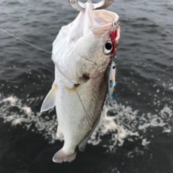 渋い中、粘って粘って…