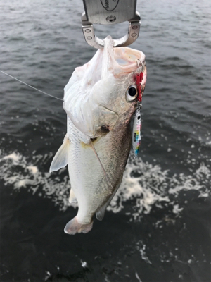 渋い中、粘って粘って…