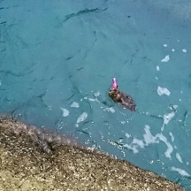 エギング釣行その45