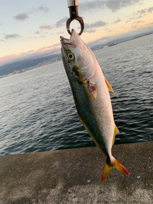 ショアジギング