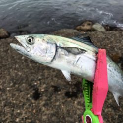 ライトショアジギング