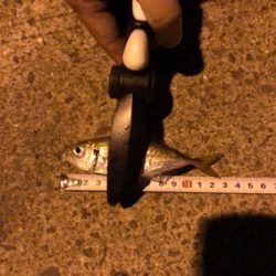 仕事帰りアジング♫