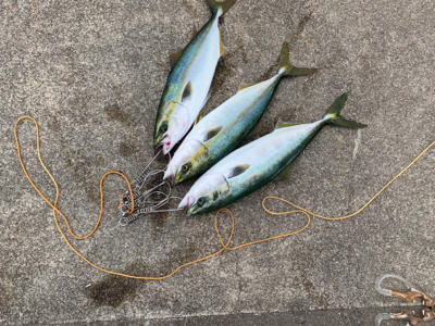 成長がみえる！！！