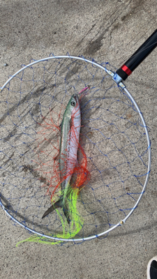 釣り強化合宿にて…