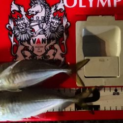 アジング練習21