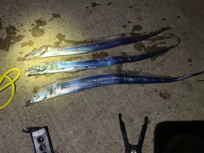 人気釣り場だけに〜挨拶とマナーと〜