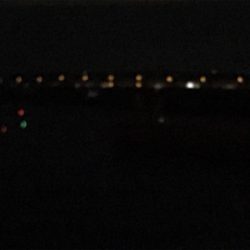 楽しめました！