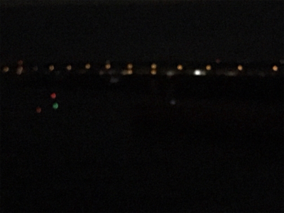 楽しめました！