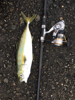 はじめてのメッキ!