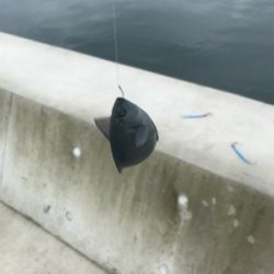 生イキくん最強!