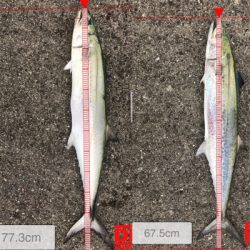 強風のなか強行（笑）