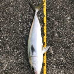 記録更新(息子)