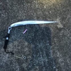 狙いではなかったが