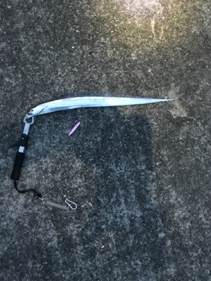 狙いではなかったが