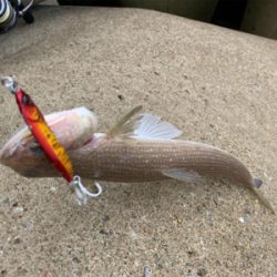 エソパーティー