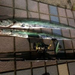 タチウオフィーバー