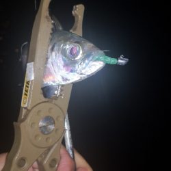 アジング練習23