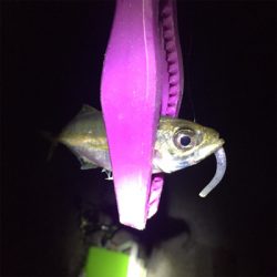 タチウオフィーバーで人居過ぎ