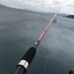 爆風と外道の嵐。