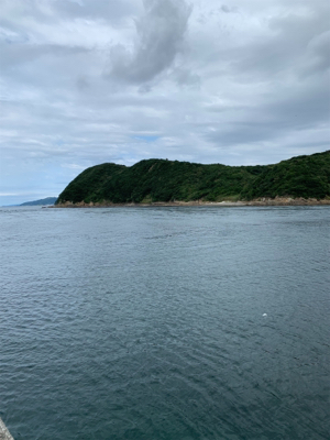 台風後のアオリイカは…