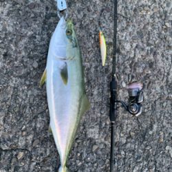 なんとか取れた…