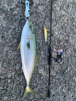 なんとか取れた…