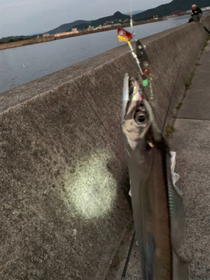 時合いっていいね‼︎ タッチ…