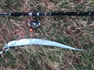 LSJigginger0515〜0555