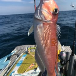 マイボートでアマダイ狙い!