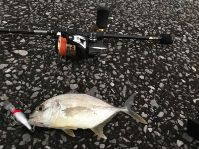 港湾ライトゲーム