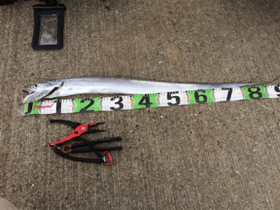 バレなければ…