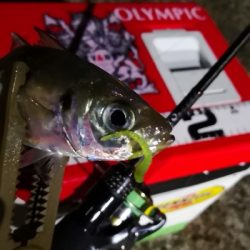 アジング練習27