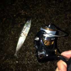 アジングのちエギング