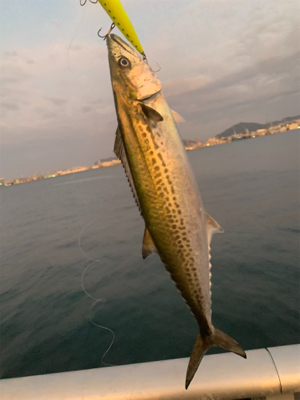 遅ればせキャスト！一投で♫