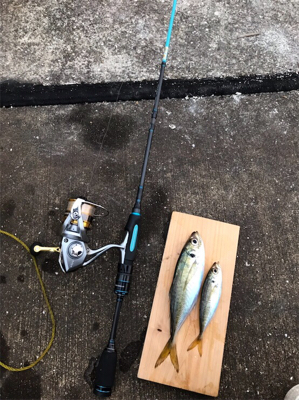 アジング＆タチウオ