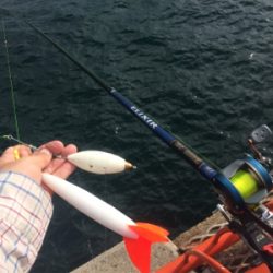 兄さん姉さん不在