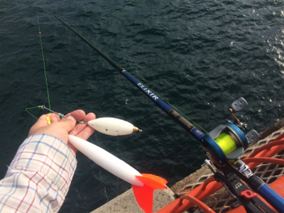 兄さん姉さん不在