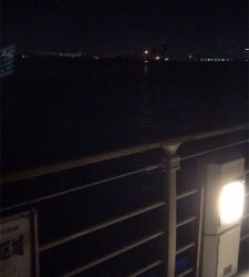 ハマチと呼びたい