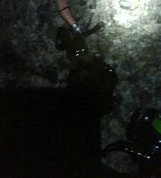 祝！アオリイカ100杯達成！！アオリイカ11杯！