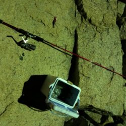 二神島 エギング