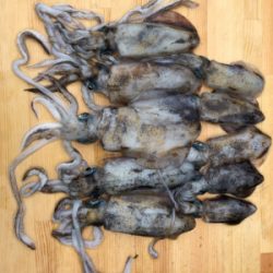 雨模様だけど、海が呼んでるんで♡