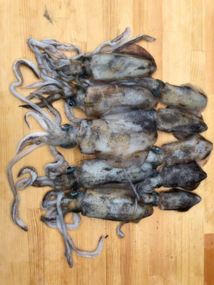 雨模様だけど、海が呼んでるんで♡