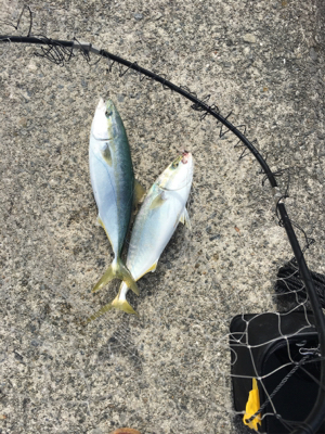 ゆったりまったり