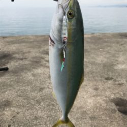 スーパーライト面白いっ!